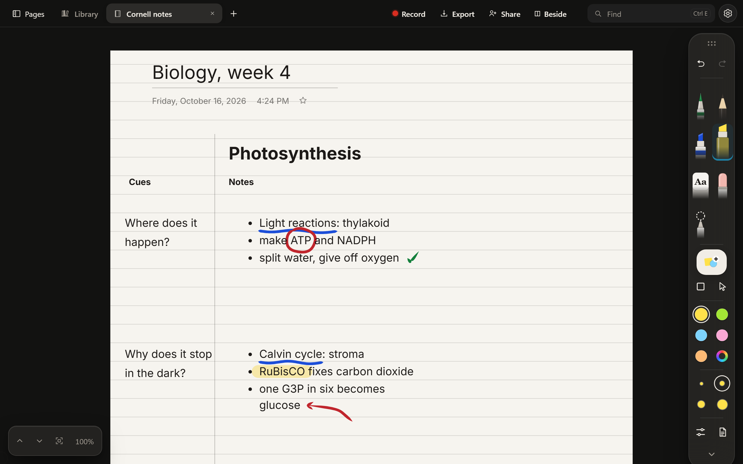 Cornell notes on photosynthesis in the Dark look: a black desk and dark tools round a ruled page. Typed notes on the light reactions and the Calvin cycle, with cues beside them, blue underlines, ATP circled in red, a green tick, a red arrow pointing at glucose, and RuBisCO highlighted.