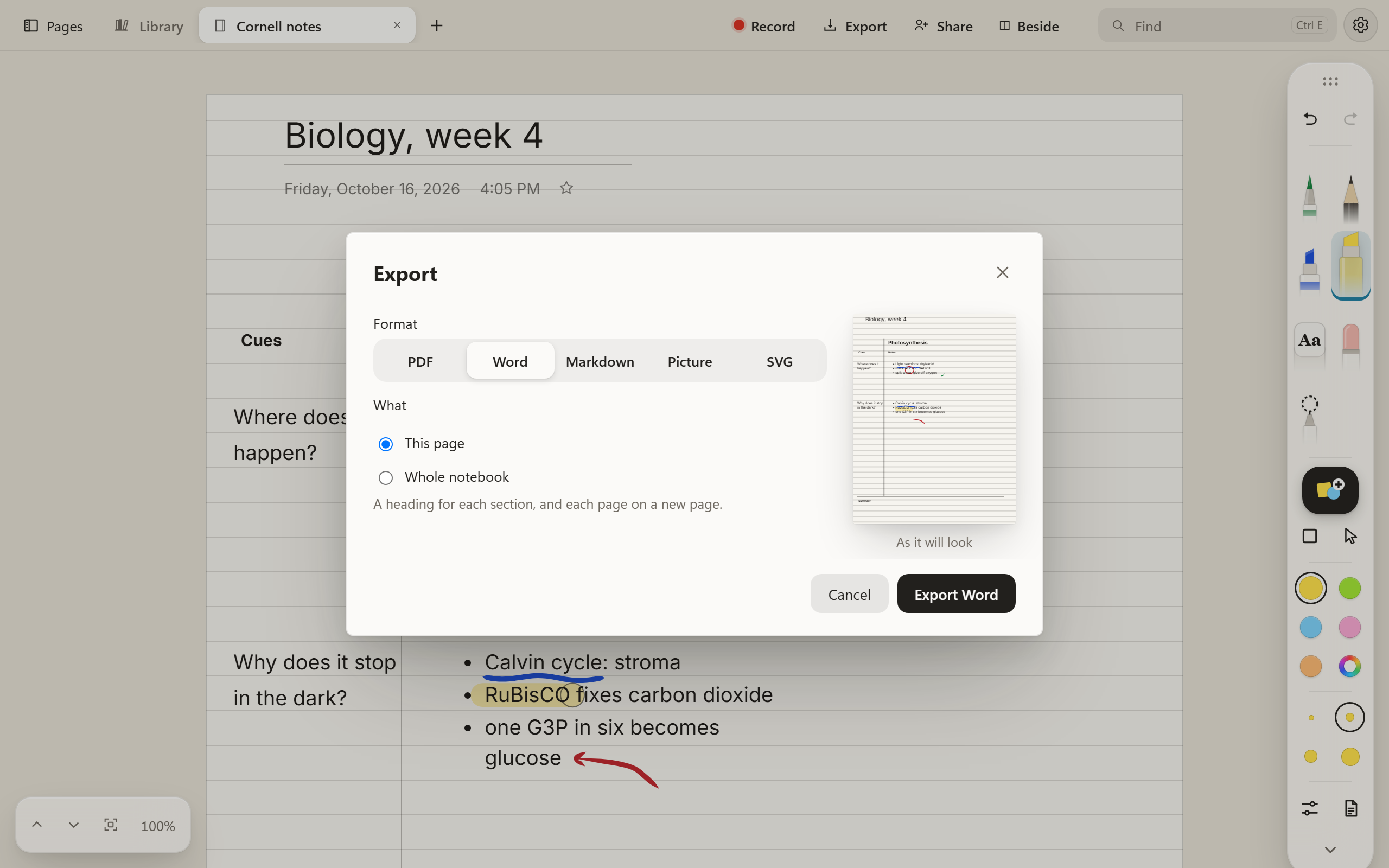 Export, open over the Cornell notes: PDF, Word, Markdown, Picture and SVG along the top with Word chosen, This page or Whole notebook below, a small picture of the page labelled As it will look, and Export Word.