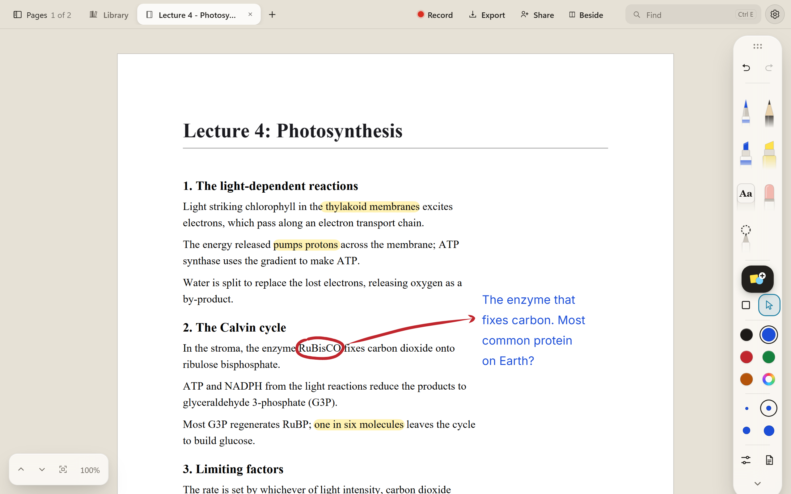 A lecture handout on photosynthesis opened in Deltella. Three phrases are highlighted in yellow, the word RuBisCO is circled in red with an arrow out to the margin, and a typed note there in blue reads: The enzyme that fixes carbon. Most common protein on Earth?